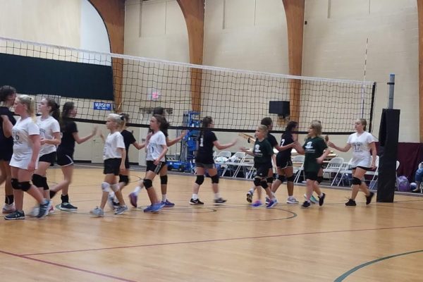 Volleyball (1) Volleyball (1)